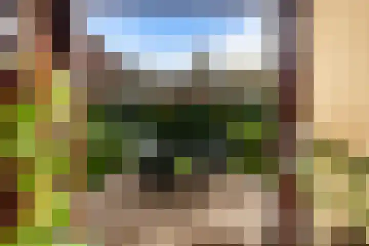 Rozemarijn 2 Wateringen thumbnail 23