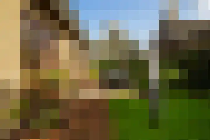 Rozemarijn 2 Wateringen thumbnail 24