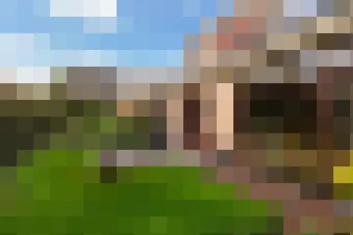 Rozemarijn 2 Wateringen thumbnail 26