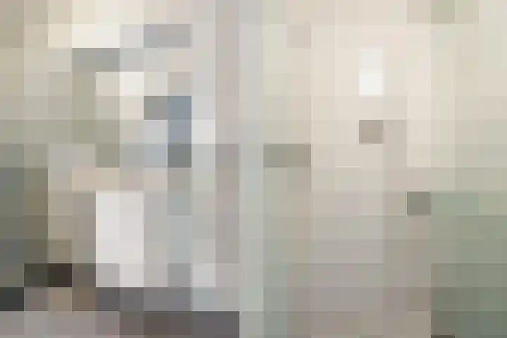 Rozemarijn 2 Wateringen thumbnail 31