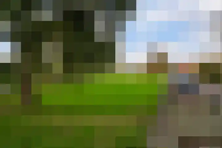 Rozemarijn 2 Wateringen thumbnail 42