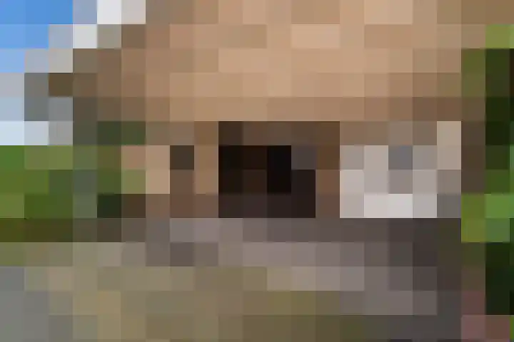 Rozemarijn 2 Wateringen thumbnail 6