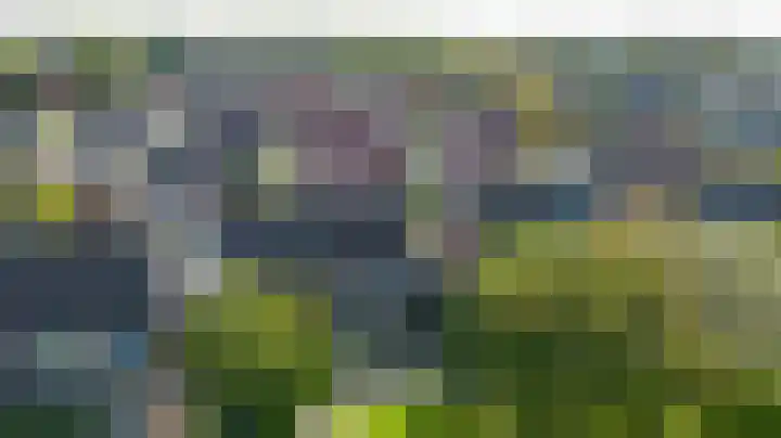 Rozemarijn 21 Dronten thumbnail 37