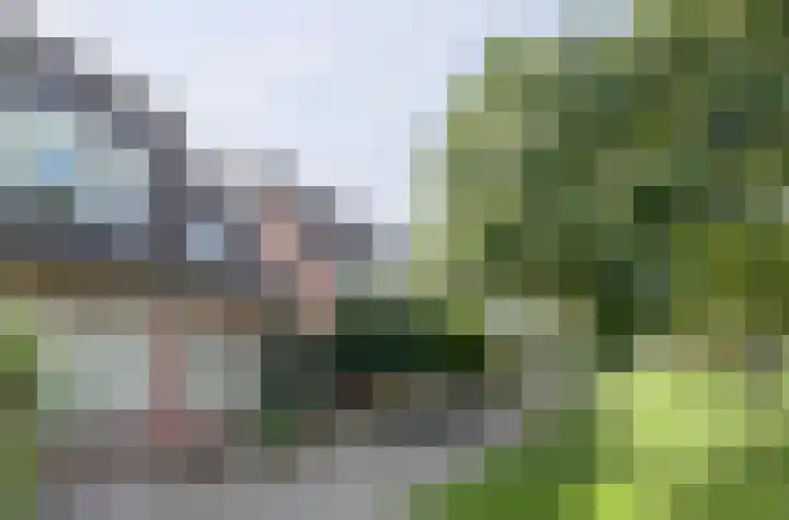 Rozemarijn 21 Dronten thumbnail 45