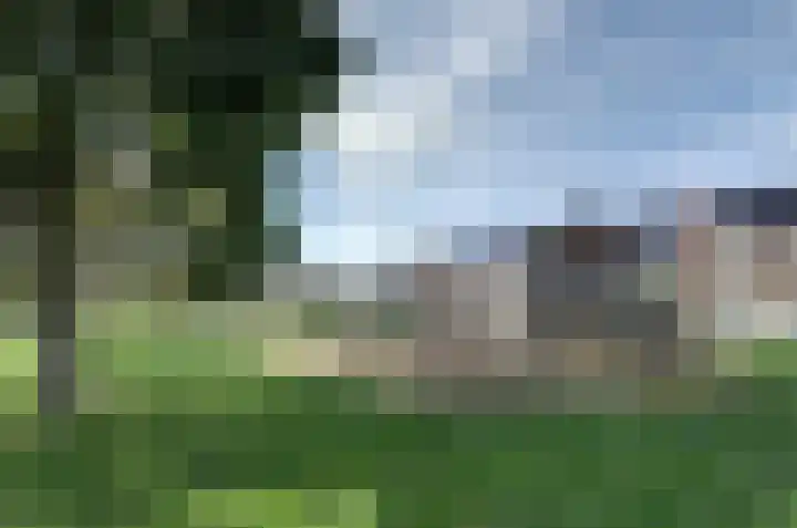 Rozemarijn 21 Dronten thumbnail 47