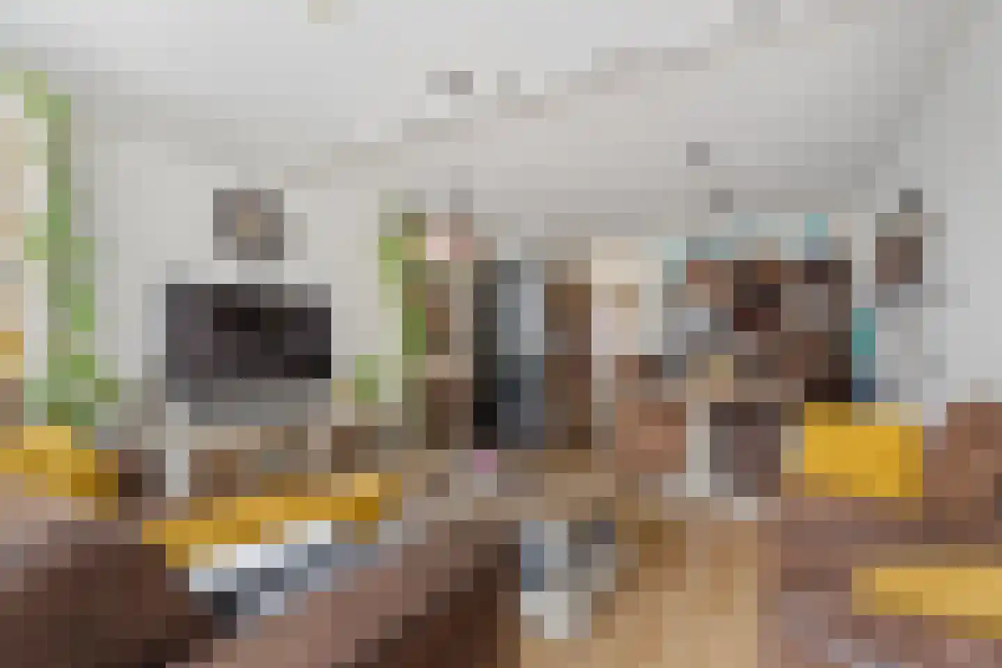 Rozemarijn 21 Monster thumbnail 10