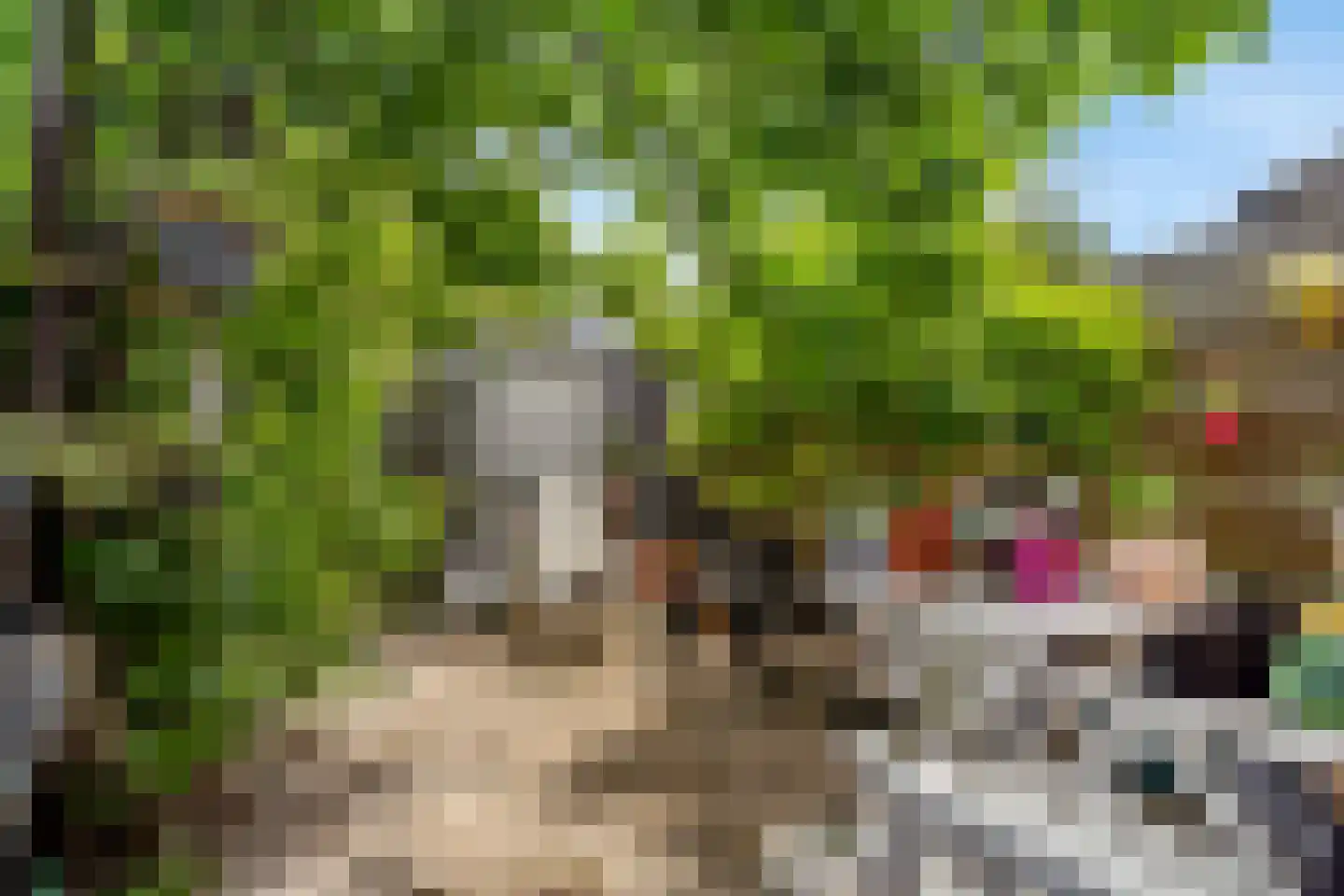 Rozemarijn 21 Monster thumbnail 25