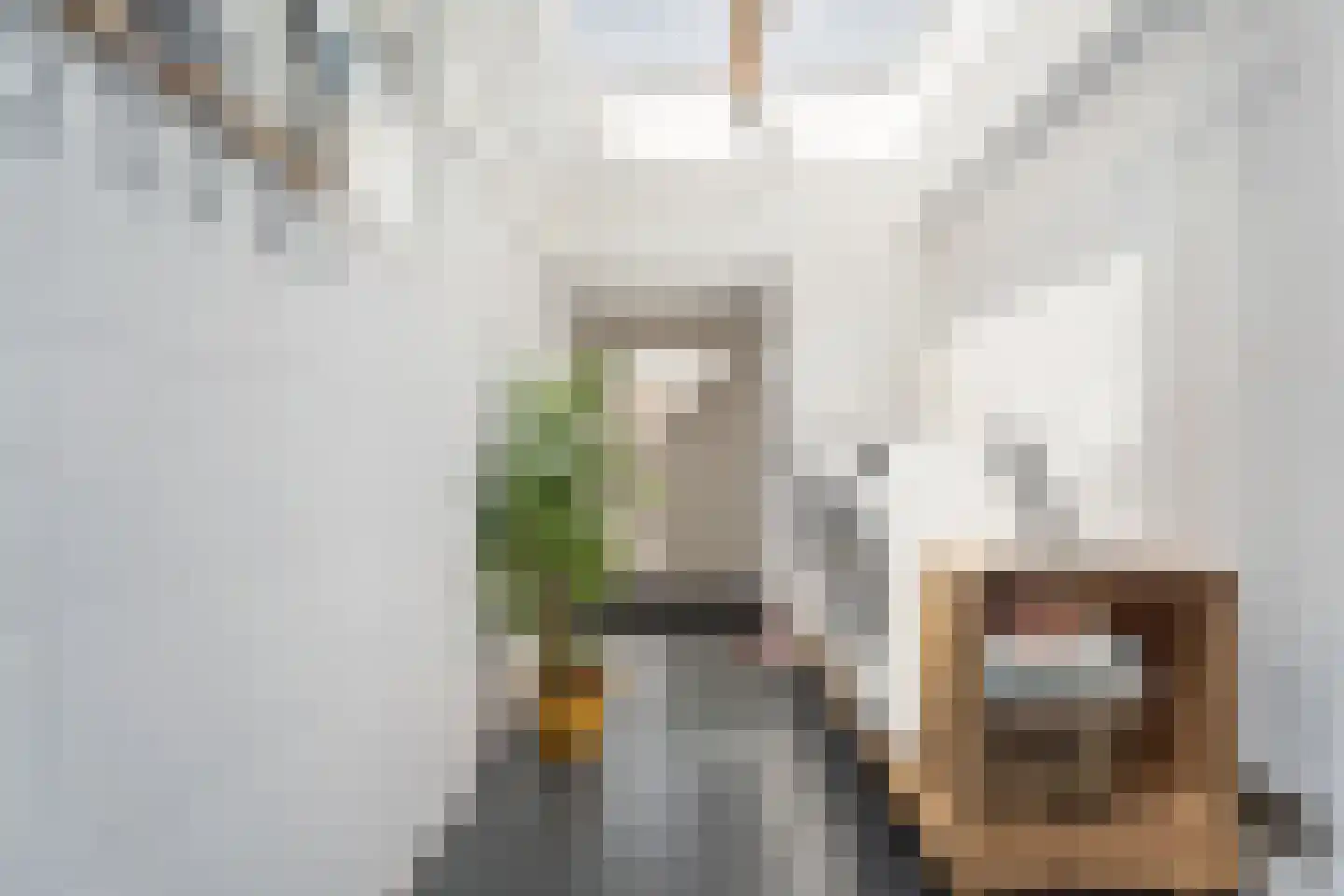 Rozemarijn 21 Monster thumbnail 5