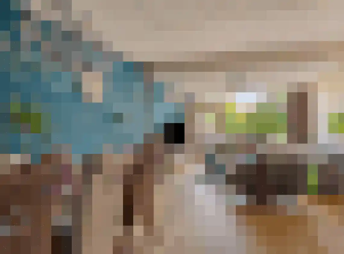 Rozemarijn 27 Monster thumbnail 5