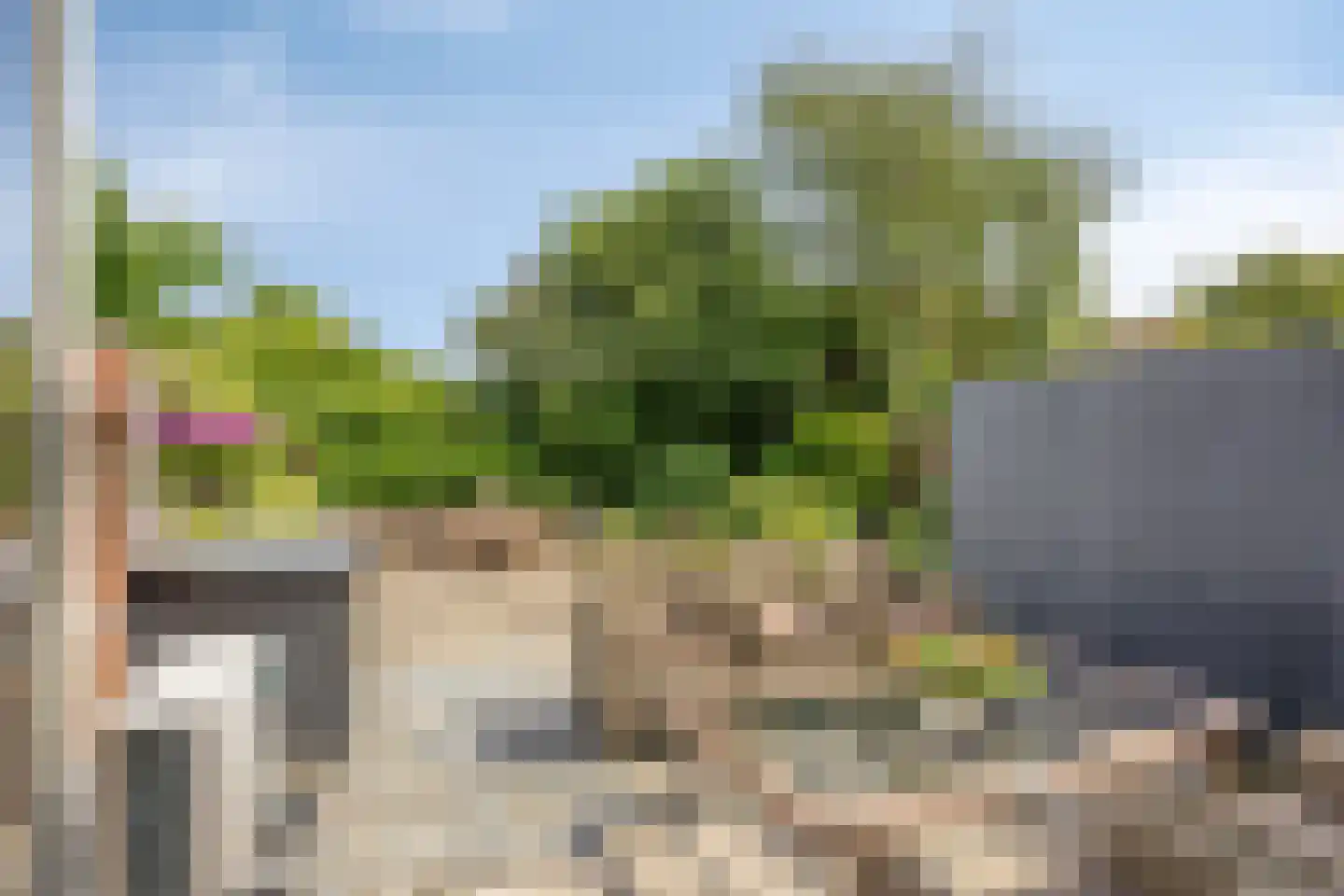 Rozemarijn 27 Monster thumbnail 7