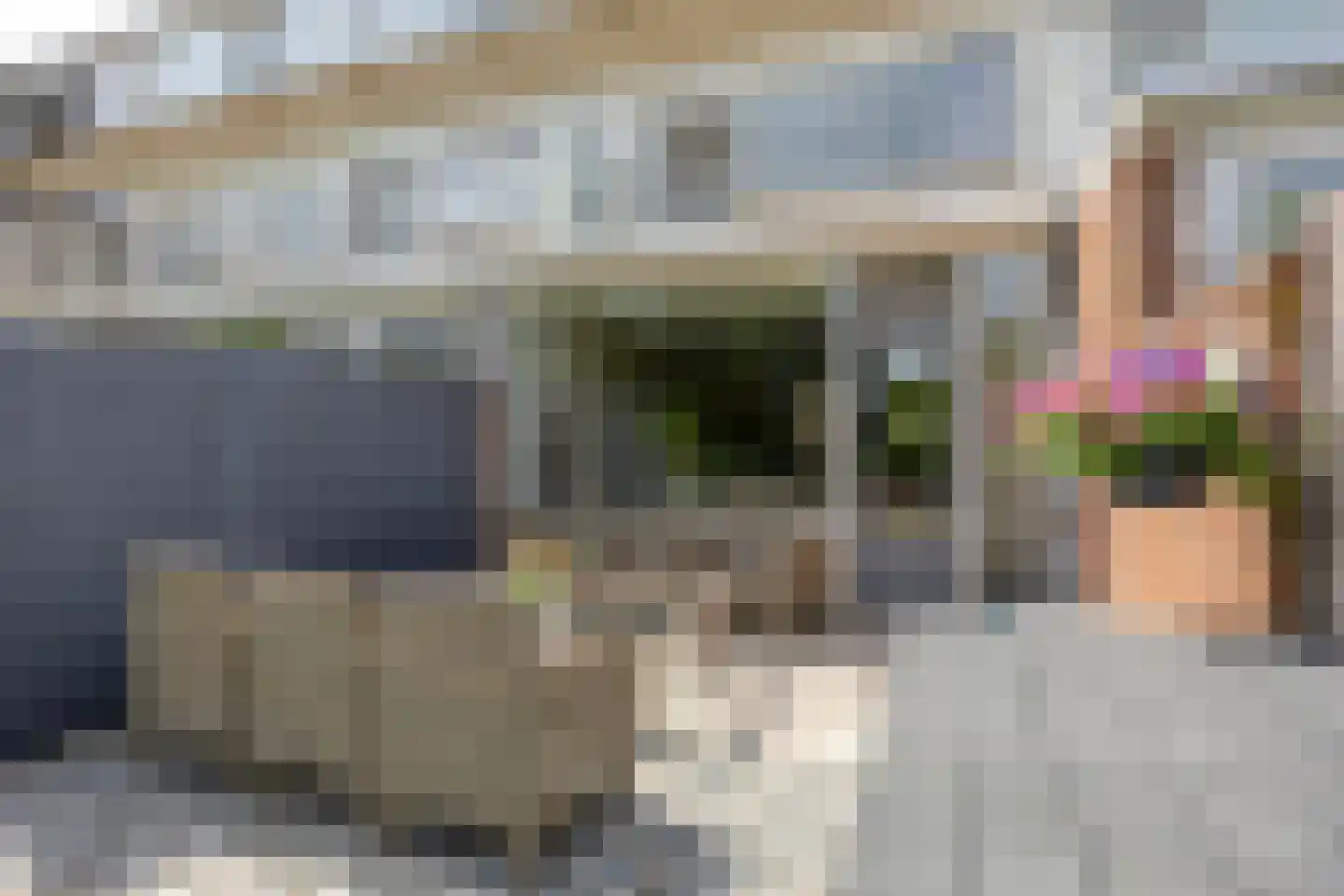 Rozemarijn 27 Monster thumbnail 8