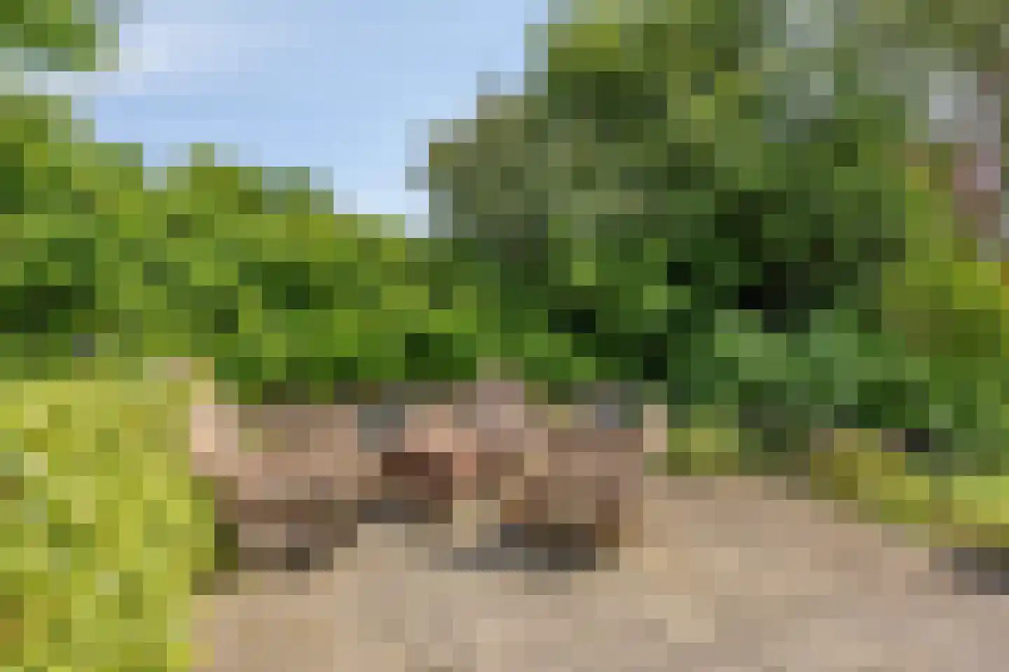 Rozemarijn 27 Monster thumbnail 9