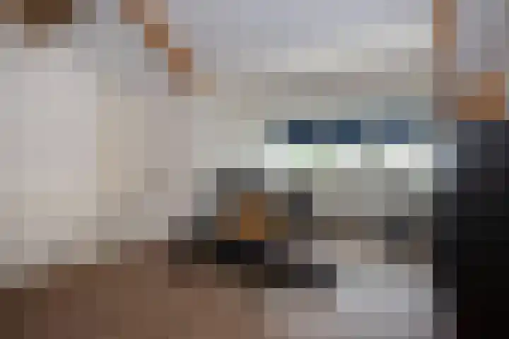 Rozemarijn 27 Oost West en Middelbeers thumbnail 22