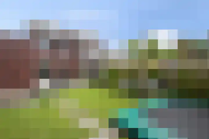 Rozemarijn 27 Oost West en Middelbeers thumbnail 24