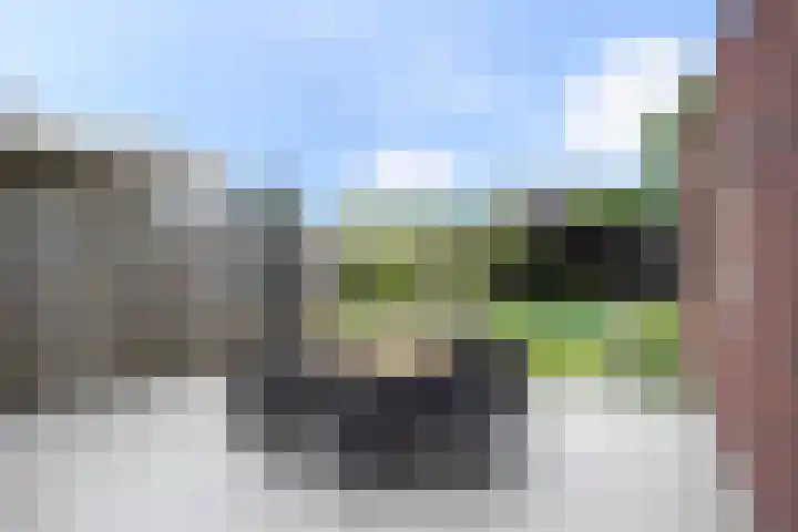 Rozemarijn 27 Oost West en Middelbeers thumbnail 25