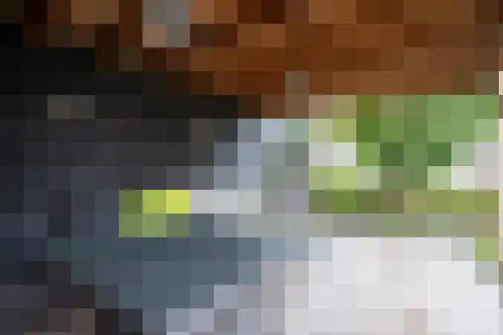 Rozemarijn 27 Oost West en Middelbeers thumbnail 27
