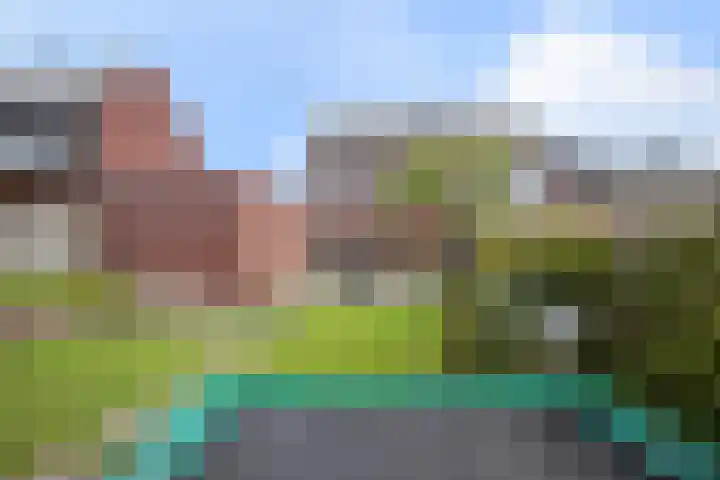 Rozemarijn 27 Oost West en Middelbeers thumbnail 29