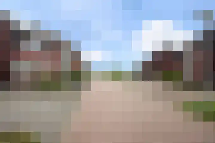 Rozemarijn 27 Oost West en Middelbeers thumbnail 33