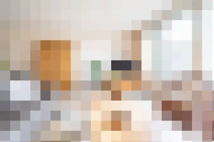 Rozemarijn 28 Gendringen thumbnail 10