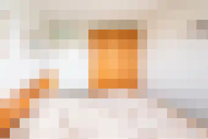 Rozemarijn 28 Gendringen thumbnail 23