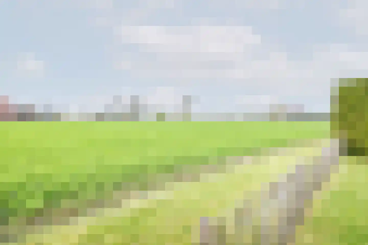 Rozemarijn 28 Gendringen thumbnail 36