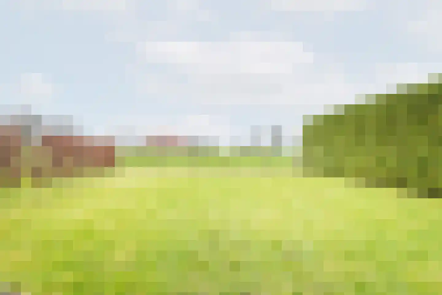 Rozemarijn 28 Gendringen thumbnail 37