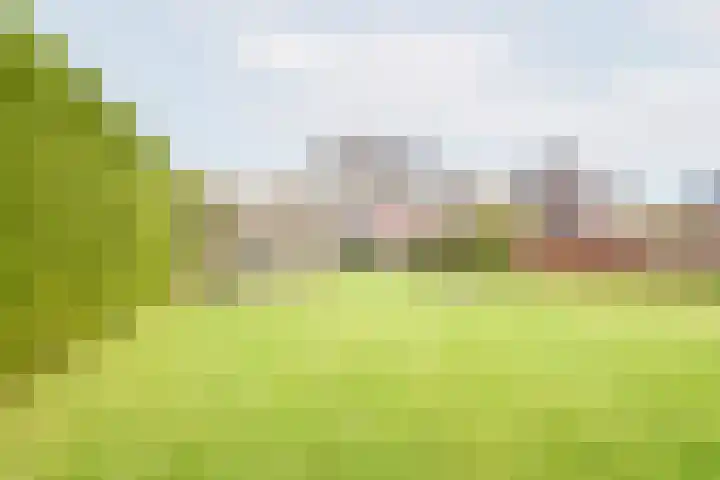 Rozemarijn 28 Gendringen thumbnail 37