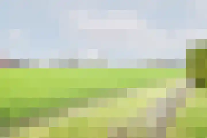 Rozemarijn 28 Gendringen thumbnail 38