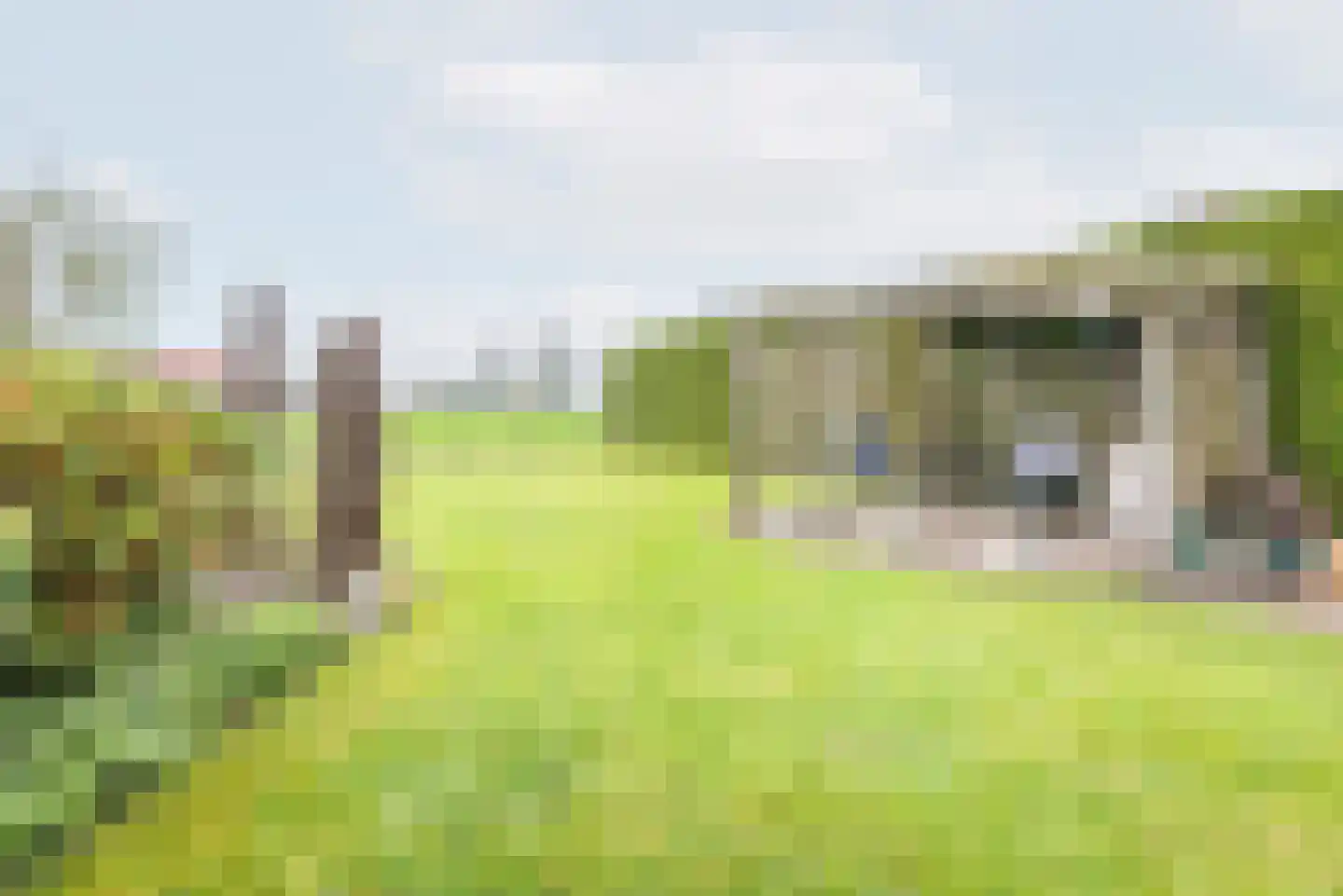 Rozemarijn 28 Gendringen thumbnail 38