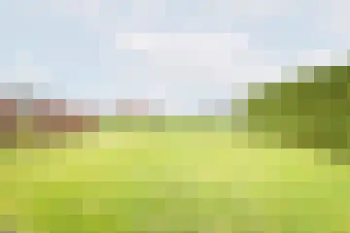 Rozemarijn 28 Gendringen thumbnail 39
