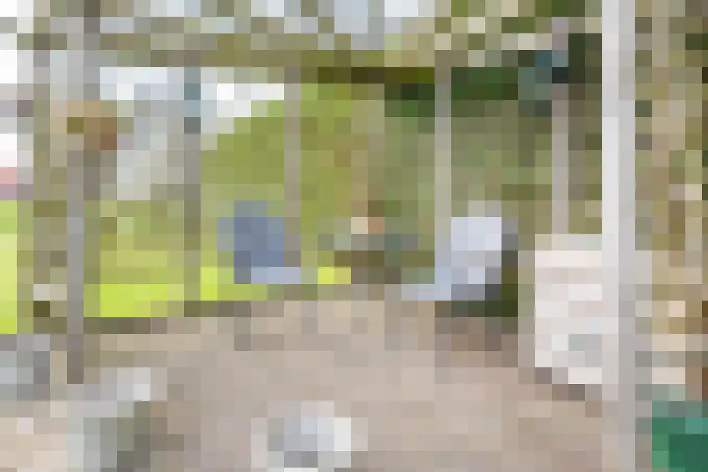Rozemarijn 28 Gendringen thumbnail 39