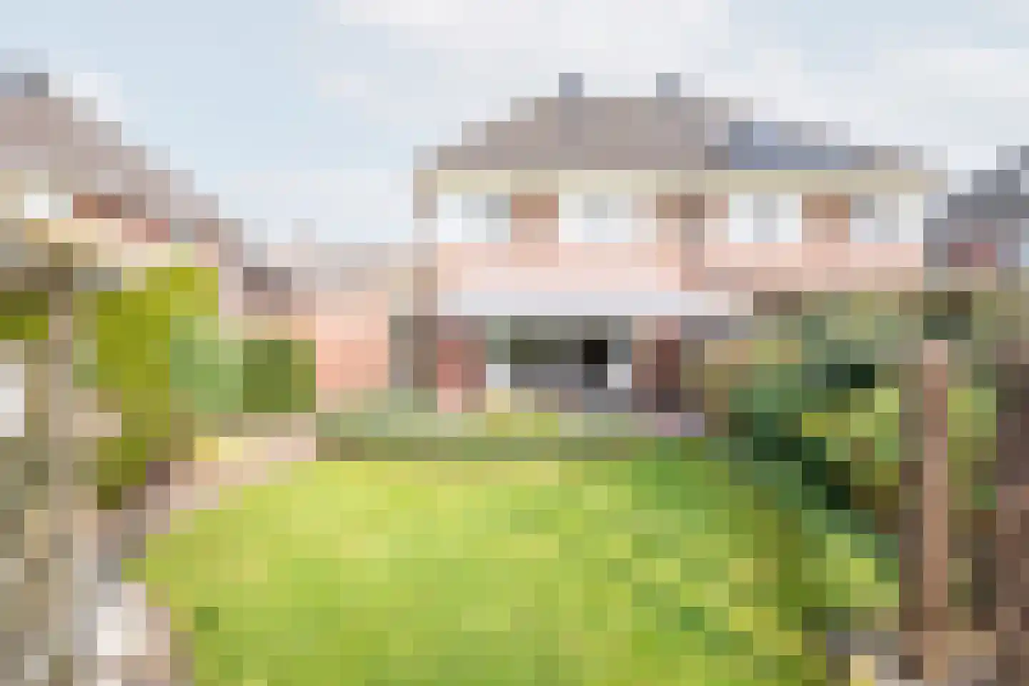 Rozemarijn 28 Gendringen thumbnail 4