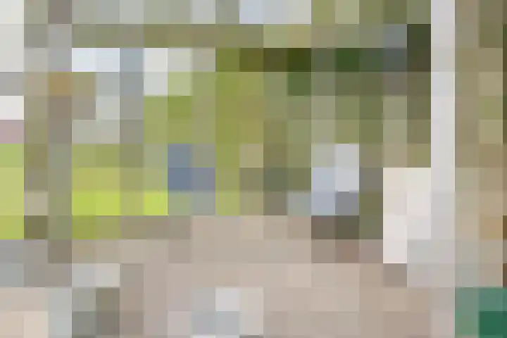 Rozemarijn 28 Gendringen thumbnail 41