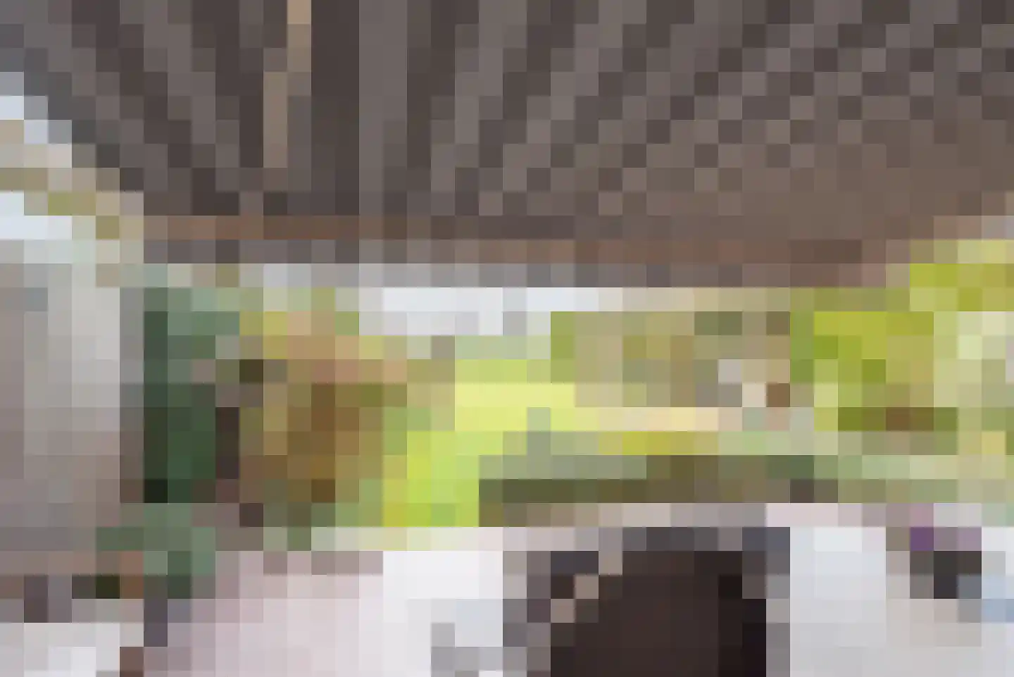 Rozemarijn 28 Gendringen thumbnail 41