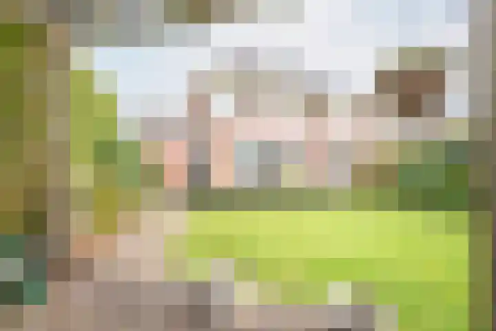 Rozemarijn 28 Gendringen thumbnail 42
