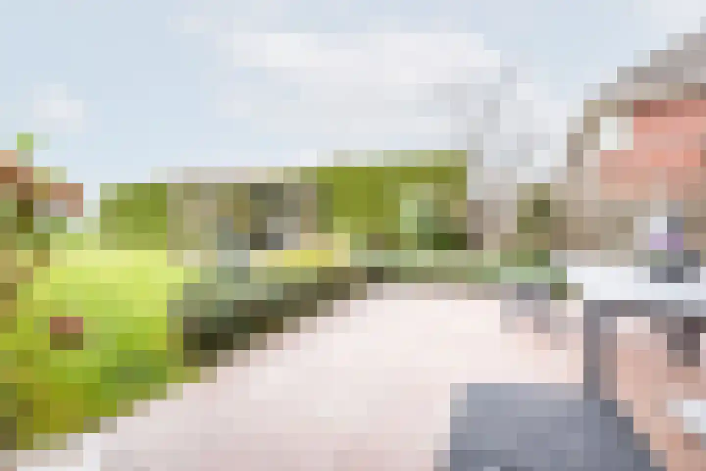 Rozemarijn 28 Gendringen thumbnail 43