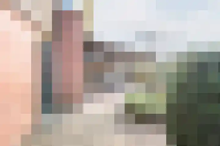 Rozemarijn 28 Gendringen thumbnail 46