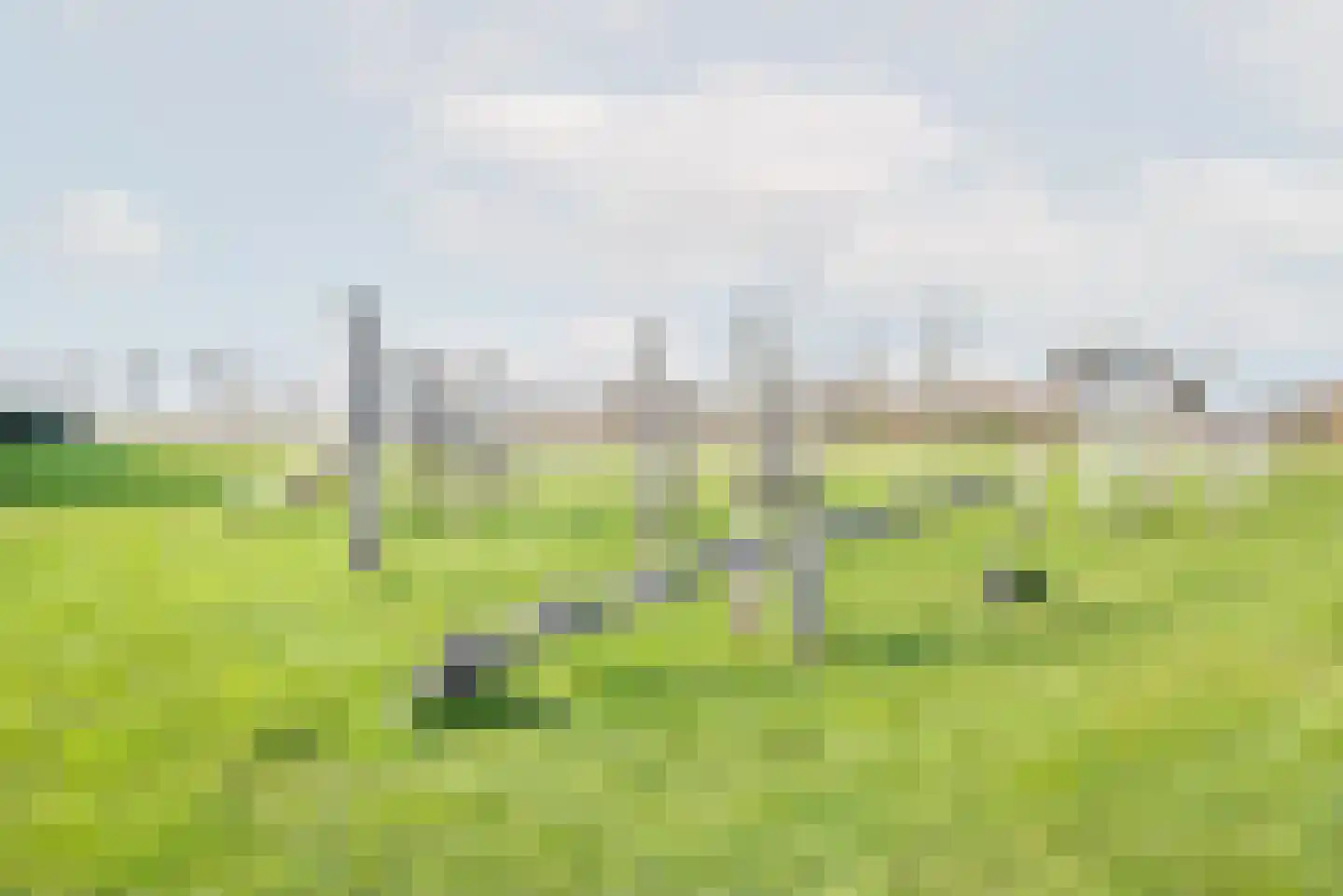 Rozemarijn 28 Gendringen thumbnail 47