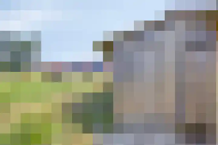 Rozemarijn 32 Oost West en Middelbeers thumbnail 36