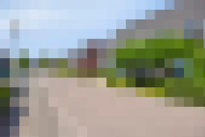 Rozemarijn 32 Oost West en Middelbeers thumbnail 6