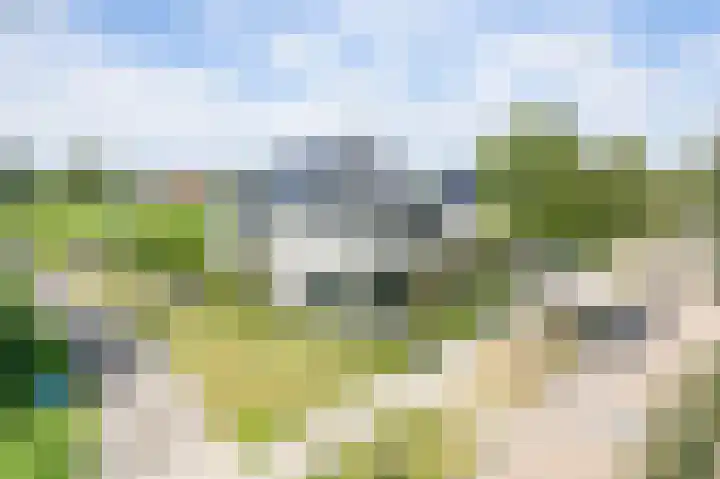 Rozemarijn 36 en Gendringen