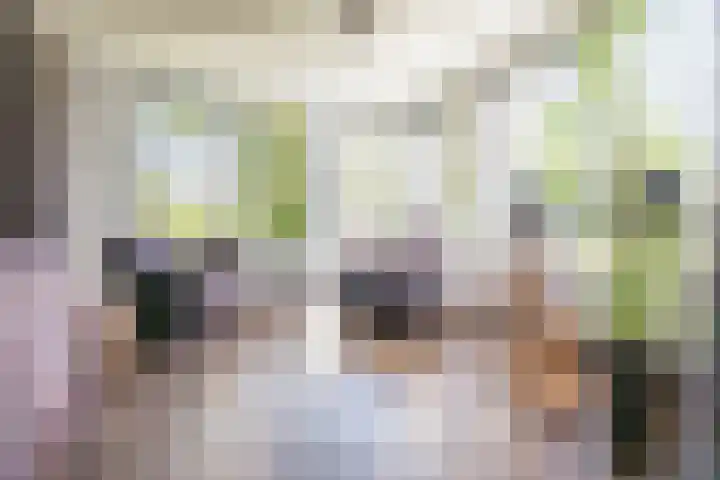 Rozemarijn 36 Gendringen thumbnail 17