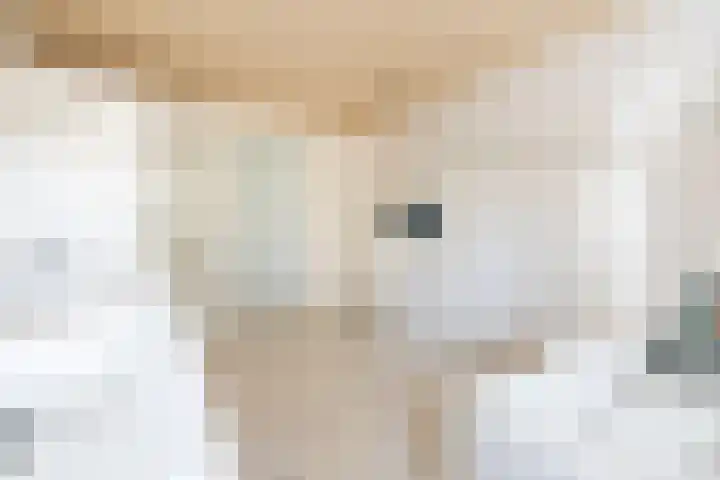 Rozemarijn 36 Gendringen thumbnail 39