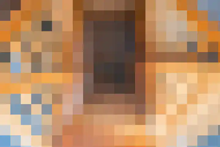 Rozemarijn 36 Gendringen thumbnail 48
