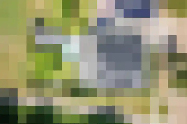 Rozemarijn 36 Gendringen thumbnail 53