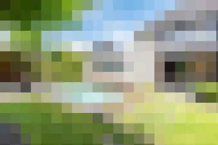 Rozemarijn 36 Gendringen thumbnail 55