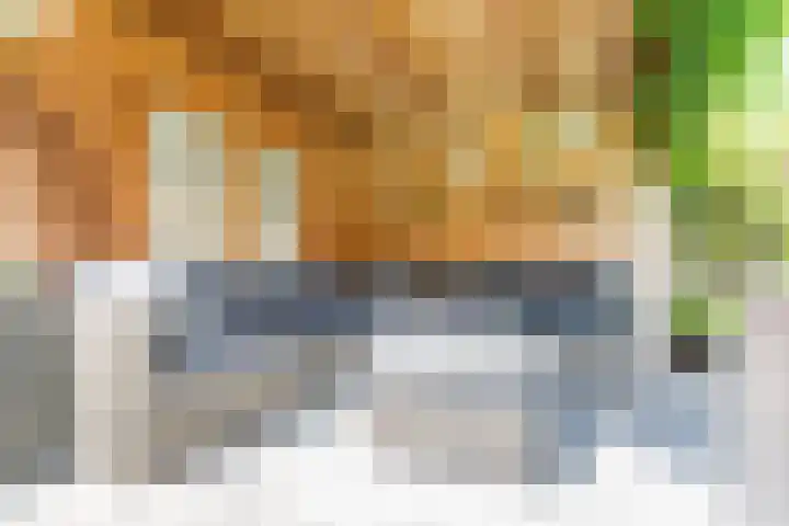 Rozemarijn 36 Gendringen thumbnail 57