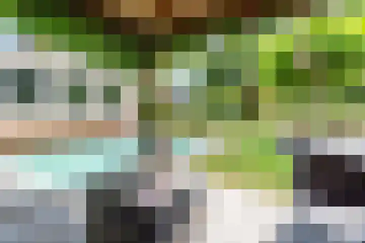 Rozemarijn 36 Gendringen thumbnail 60