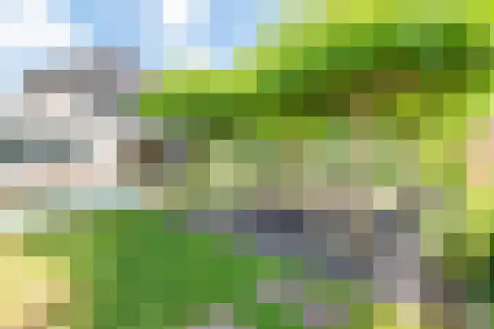 Rozemarijn 36 Gendringen thumbnail 61