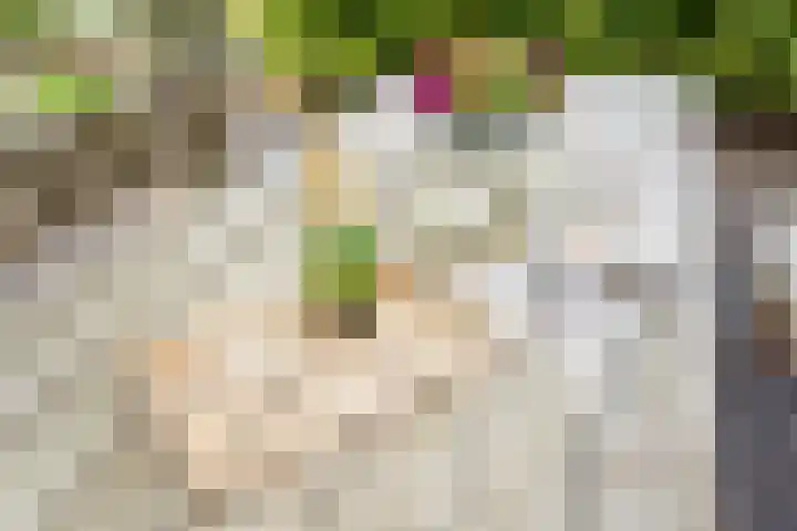 Rozemarijn 36 Gendringen thumbnail 63